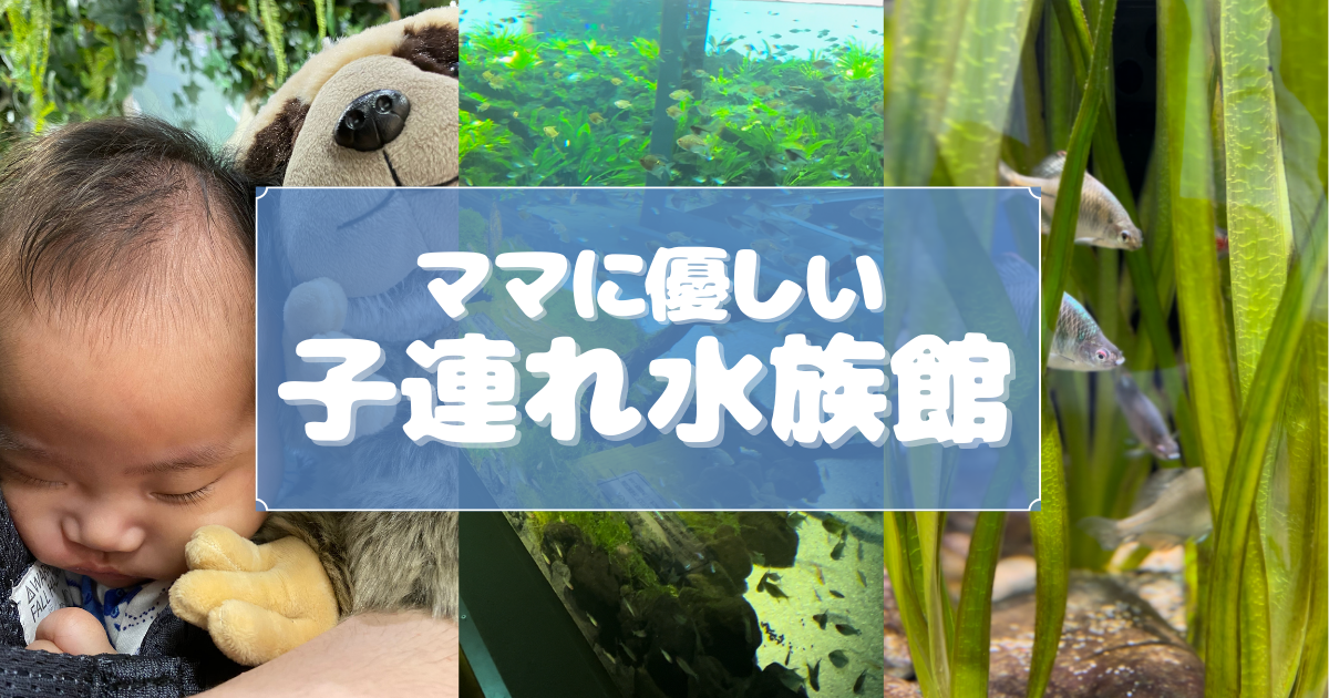 かわさきママ様確認用 色あせ